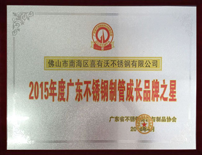 2015年度广东不锈钢制管成长品牌之星